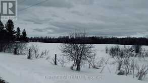 263 THOMAS ROAD | Alnwick-Haldimand Ontario | Slide Image Three