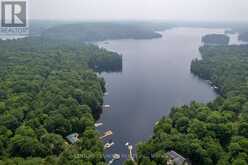 1207 ANSTRUTHER LAKE WAO | Apsley Ontario | Slide Image Eleven