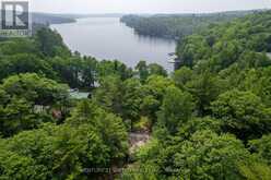 1207 ANSTRUTHER LAKE WAO | Apsley Ontario | Slide Image Twelve