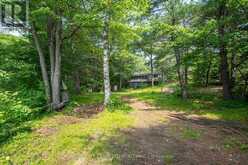 1207 ANSTRUTHER LAKE WAO | Apsley Ontario | Slide Image Thirteen