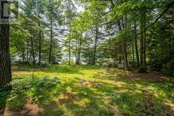 1207 ANSTRUTHER LAKE WAO | Apsley Ontario | Slide Image Six
