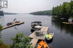 1207 ANSTRUTHER LAKE WAO | Apsley Ontario | Slide Image Nine