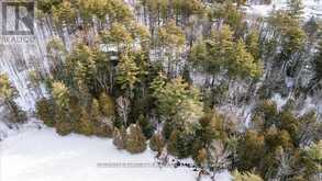 8860 COUNTY RD 41 | Addington Highlands Ontario | Slide Image Thirteen