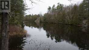 8860 COUNTY RD 41 | Addington Highlands Ontario | Slide Image Seventeen