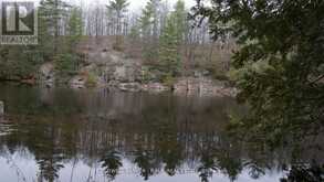 8860 COUNTY RD 41 | Addington Highlands Ontario | Slide Image Twenty