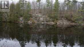 8860 COUNTY RD 41 | Addington Highlands Ontario | Slide Image Six