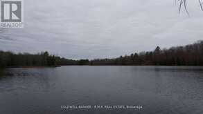 8860 COUNTY RD 41 | Addington Highlands Ontario | Slide Image Seven