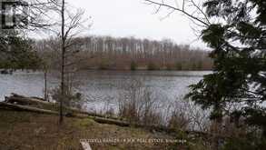 8860 COUNTY RD 41 | Addington Highlands Ontario | Slide Image Eight