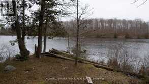 8860 COUNTY RD 41 | Addington Highlands Ontario | Slide Image Nine