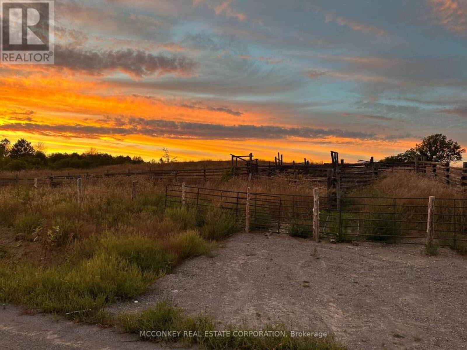252 CONCESSION ROAD 13 E, Hastings, Ontario K0L 1Y0