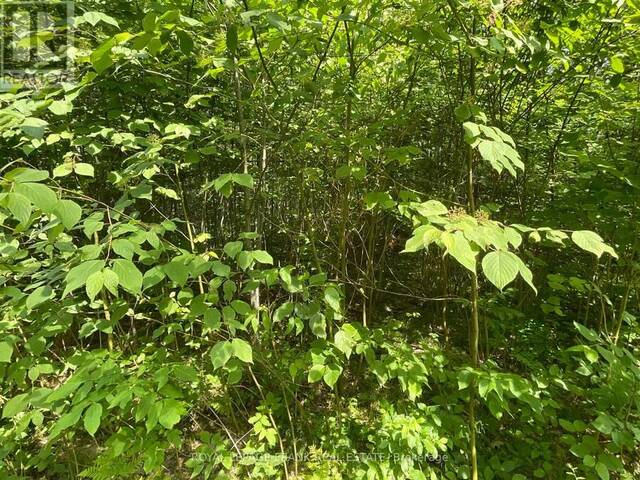 0 SUGARBUSH CRESCENT North Kawartha Ontario, K0L 1J0 - Vacant Land For Sale