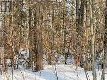 0 SUGARBUSH CRESCENT | North Kawartha Ontario | Slide Image Eight