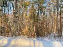0 SUGARBUSH CRESCENT | North Kawartha Ontario | Slide Image Ten