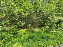 0 SUGARBUSH CRESCENT | North Kawartha Ontario | Slide Image Six