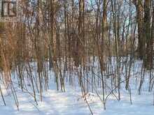 0 SUGARBUSH CRESCENT | North Kawartha Ontario | Slide Image Nine