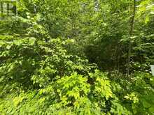 0 SUGARBUSH CRESCENT | North Kawartha Ontario | Slide Image Two
