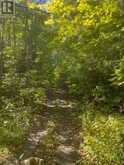 239 CONCESSION 11W | Hastings Ontario | Slide Image Nine