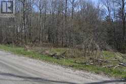 0 SUCIE ROAD | Highlands East Ontario | Slide Image One