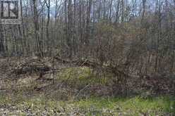 0 SUCIE ROAD | Highlands East Ontario | Slide Image Two