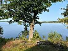 4 - 90 MCCRACKEN LANDING ROAD | Alnwick-Haldimand Ontario | Slide Image Four
