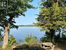 4 - 90 MCCRACKEN LANDING ROAD | Alnwick-Haldimand Ontario | Slide Image Five