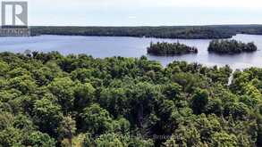 312 LIMERICK LAKE | Bancroft Ontario | Slide Image Thirty-four