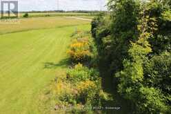 PT LT 15 MINNETONKA ROAD | Alnwick-Haldimand Ontario | Slide Image Eleven