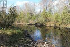 257 10TH LINE RD SOUTH DUMMER ROAD | Asphodel-Norwood Ontario | Slide Image Twelve