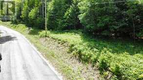 00 KAMANISKEG LAKE ROAD | Madawaska Valley Ontario | Slide Image Twelve
