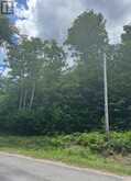 00 KAMANISKEG LAKE ROAD | Madawaska Valley Ontario | Slide Image Seventeen