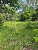 0 PT LT 14 CON 3 | Westport Ontario | Slide Image One