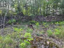 0 PT LT 14 CON 3 | Westport Ontario | Slide Image Four