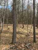 97 GREENLY ROAD | Trent Hills Ontario | Slide Image Nine