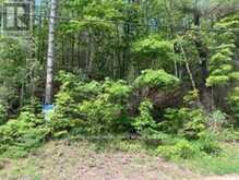 338 GLEN ALLEN ROAD S | Marmora Ontario | Slide Image Sixteen