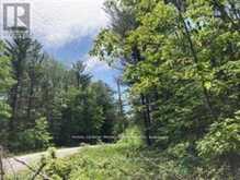 338 GLEN ALLEN ROAD S | Marmora Ontario | Slide Image Six