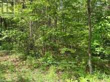 338 GLEN ALLEN ROAD S | Marmora Ontario | Slide Image Nine