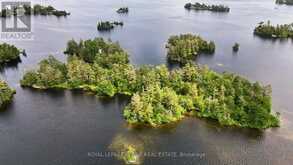 2295 STONY LAKE ISL 17 | North Kawartha Ontario | Slide Image Twenty-nine
