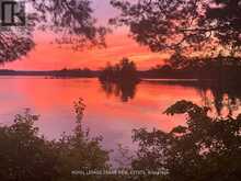 2295 STONY LAKE ISL 17 | North Kawartha Ontario | Slide Image Thirty