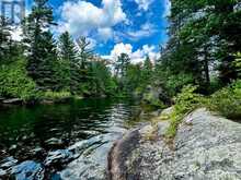 2295 STONY LAKE ISL 17 | North Kawartha Ontario | Slide Image Nineteen