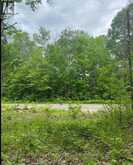 1755 SOUTH BAPTISTE LAKE ROAD | Bancroft Ontario | Slide Image Ten