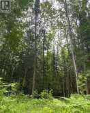 1755 SOUTH BAPTISTE LAKE ROAD | Bancroft Ontario | Slide Image Twelve