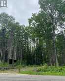 1755 SOUTH BAPTISTE LAKE ROAD | Bancroft Ontario | Slide Image Thirteen