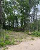 1755 SOUTH BAPTISTE LAKE ROAD | Bancroft Ontario | Slide Image Nine