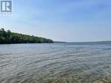 393 HILLSIDE DRIVE | Kawartha Lakes Ontario | Slide Image Forty