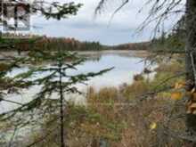 246 HICKEY TRAIL | Bancroft Ontario | Slide Image Fourteen