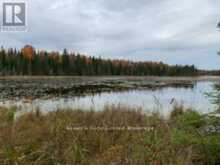 246 HICKEY TRAIL | Bancroft Ontario | Slide Image Fifteen