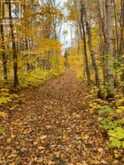 246 HICKEY TRAIL | Bancroft Ontario | Slide Image Sixteen