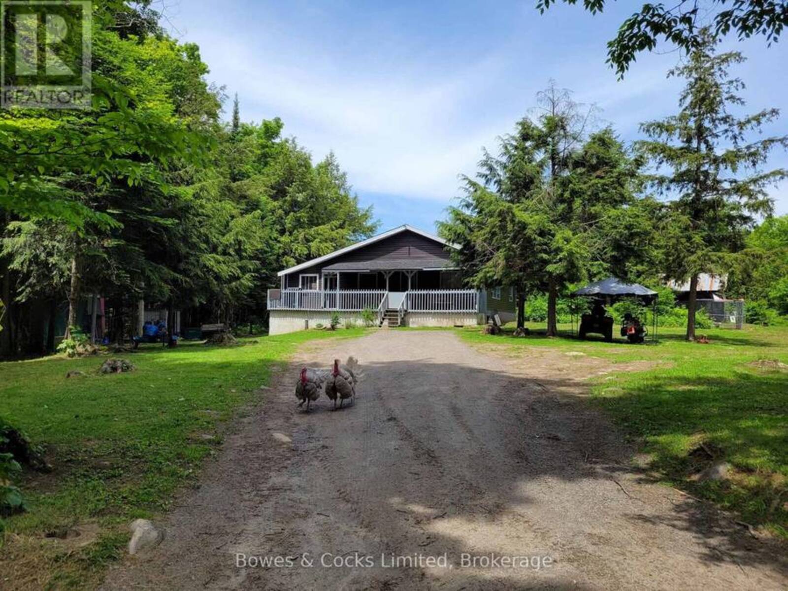246 HICKEY TRAIL, Bancroft, Ontario K0L 1C0