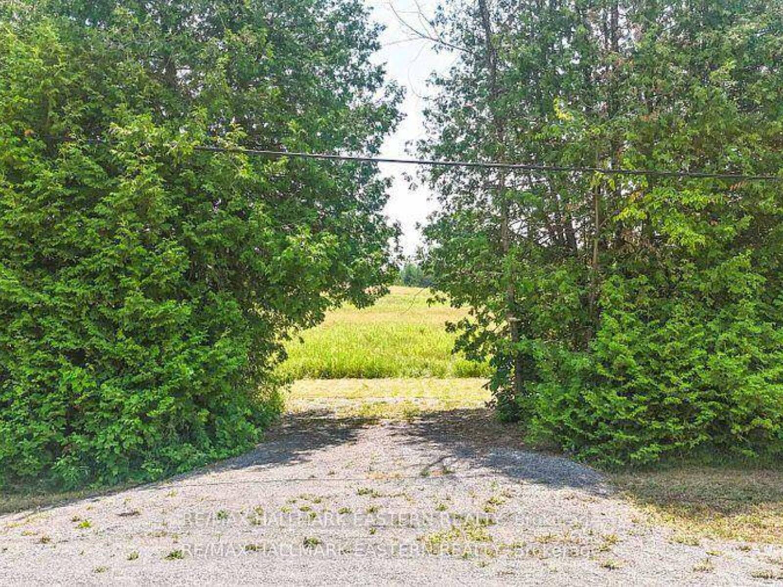 0 CON 10 LOT 5 OLD NORWOOD ROAD, Havelock-Belmont-Methuen, Ontario K0L 1Z0