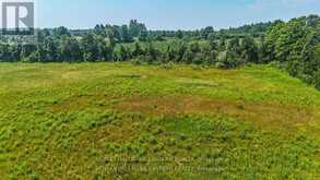 0 CON 10 LOT 5 OLD NORWOOD ROAD | Havelock-Belmont-Methuen Ontario | Slide Image Five